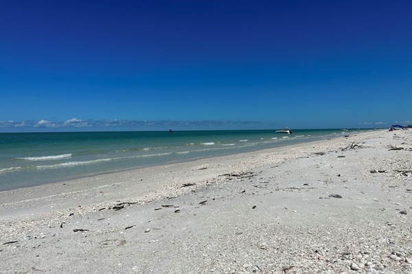 Gandules de platja i tovalloles de platja