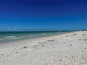 Chaises longues, serviettes de plage