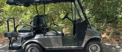 Ein Golfmobil steht auf einem gepflasterten Weg, umgeben von Bäumen.