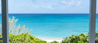 Casaurina of San Salvador