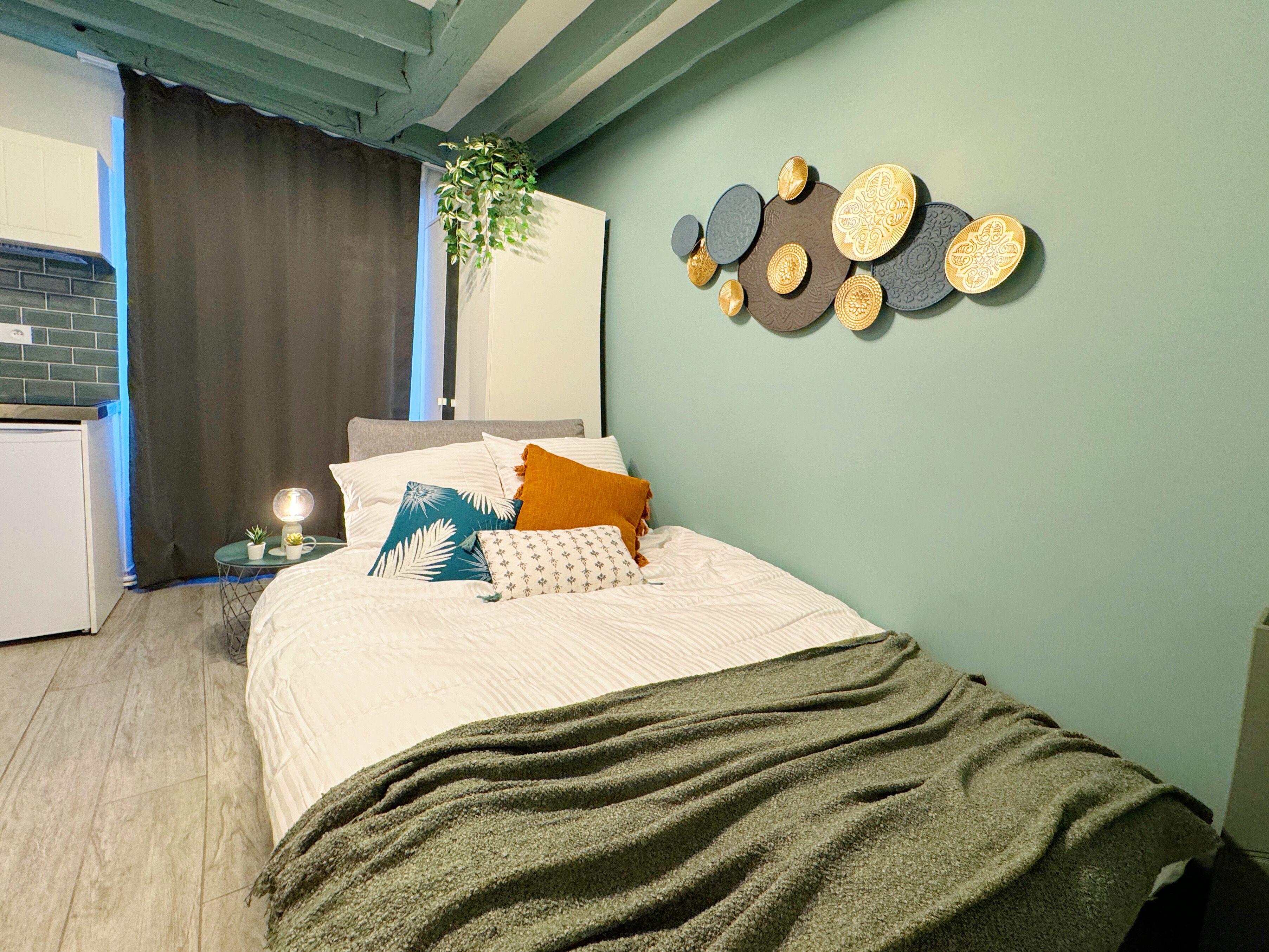 A bedroom with a bed, pillows, a bedside table with a lamp, a wall-mounted decorative plate, and a plant.