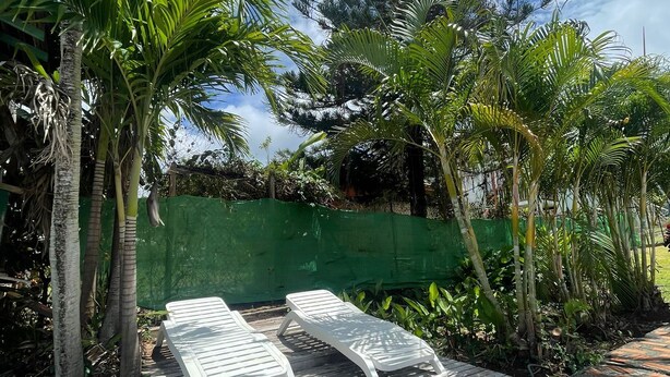 Eine Holzterrasse mit zwei weißen Liegestühlen, umgeben von tropischen Pflanzen und einem grünen Zaun.