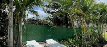 Cozy Studio in the Tropics