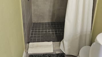 Hair dryer, towels, soap, shampoo