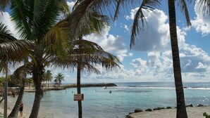 Une plage bordée de palmiers, un panneau indiquant l’absence de sauveteur, et une vue dégagée sur l’océan.
