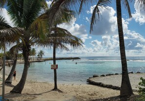 Une plage bordée de palmiers, un panneau indiquant l’absence de sauveteur, et une vue dégagée sur l’océan.
