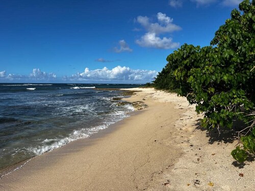 Apartment Seaside sea view and direct beach access