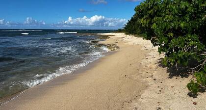 Apartment Seaside sea view and direct beach access