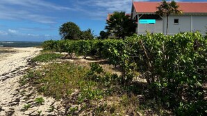 En fastighet vid stranden med en vit byggnad som har skylten ”Seaside”, en sandstrand och frodig grönska.