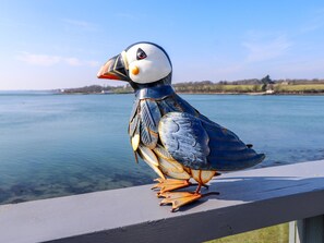 A puffin perched on a railing by a body of water.