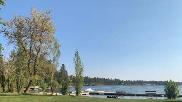 Ein grasbewachsener Bereich mit einer Holzbank, einem Steg und einem See.