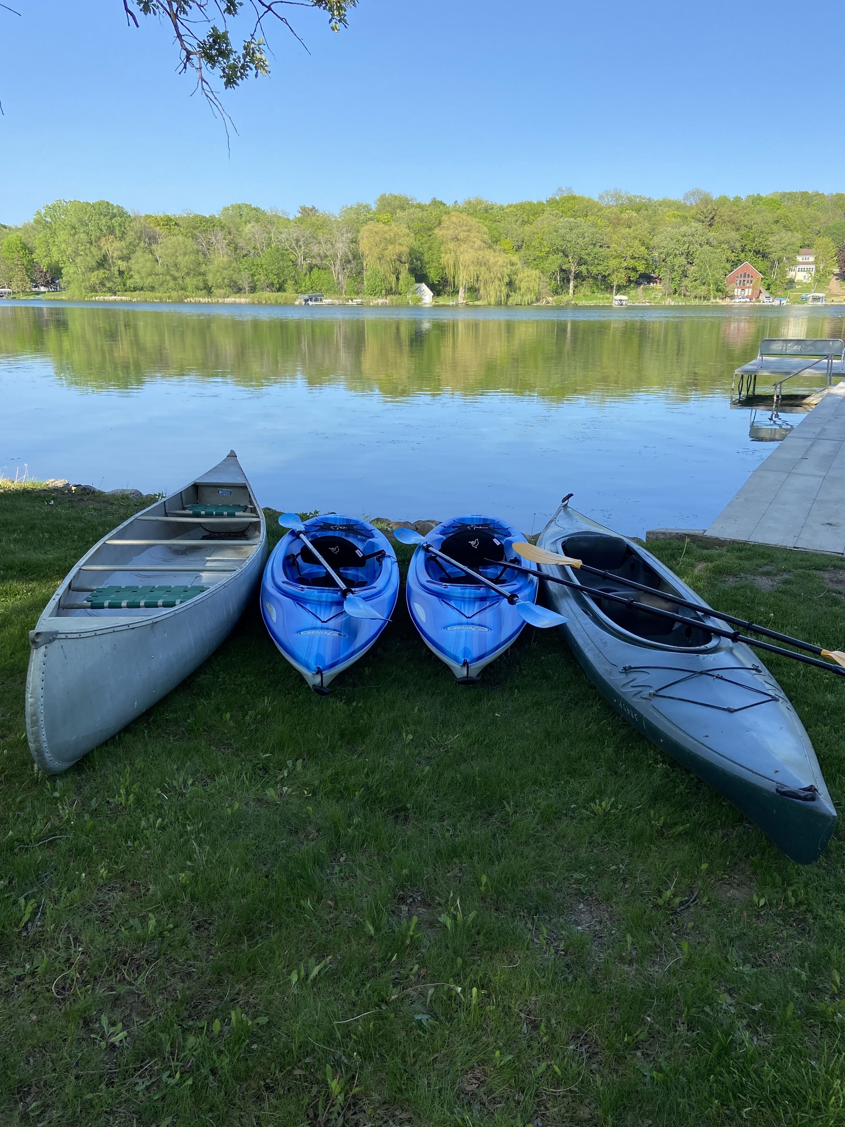 A row of kayaks lined up on a grassy lakeside area with a calm lake and trees in the background.