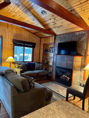 Smart TV, fireplace, books