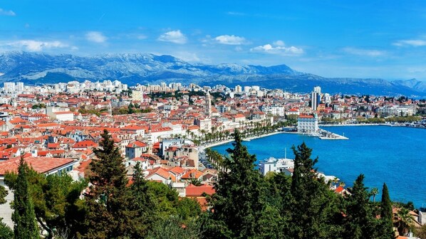A coastal cityscape with a prominent waterfront, dense urban buildings, and a backdrop of snow-capped mountains.