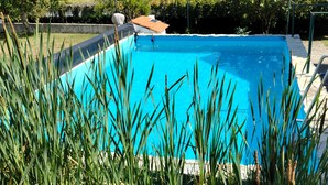 A rectangular swimming pool surrounded by tall grass and a metal ladder.