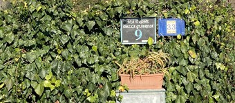 Vesuvio Country House