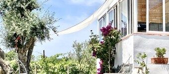 Vesuvio Country House