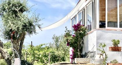 Vesuvio Country House