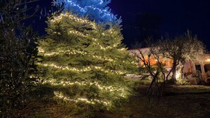 A large Christmas tree adorned with lights, set against a dark night sky. - Vesuvio Country House (Campania)