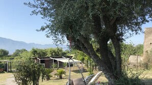 A garden with a swing chair and a pergola. - Vesuvio Country House (Campania)