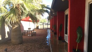 A covered outdoor area with a palm tree, a red building, and a gravel path. - Urban escape,Next to shopping center and restaurants! (Phoenix)