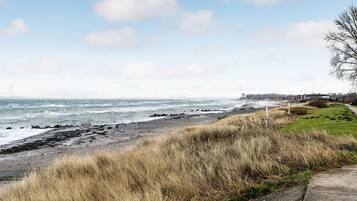 Tæt på stranden, fiskeri