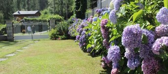 Villa Egle - Attic apartment