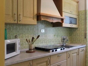 Frigorífic, microones, placa de cuina i rentaplats 