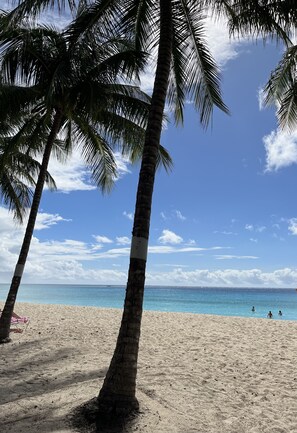 A beach with palm trees and a clear blue sky.