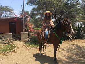 Una persona montando a caballo por un sendero de tierra, con un edificio y árboles al fondo.