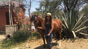 Una persona conduce un cavallo in un ambiente rurale con una casa e vegetazione sullo sfondo.