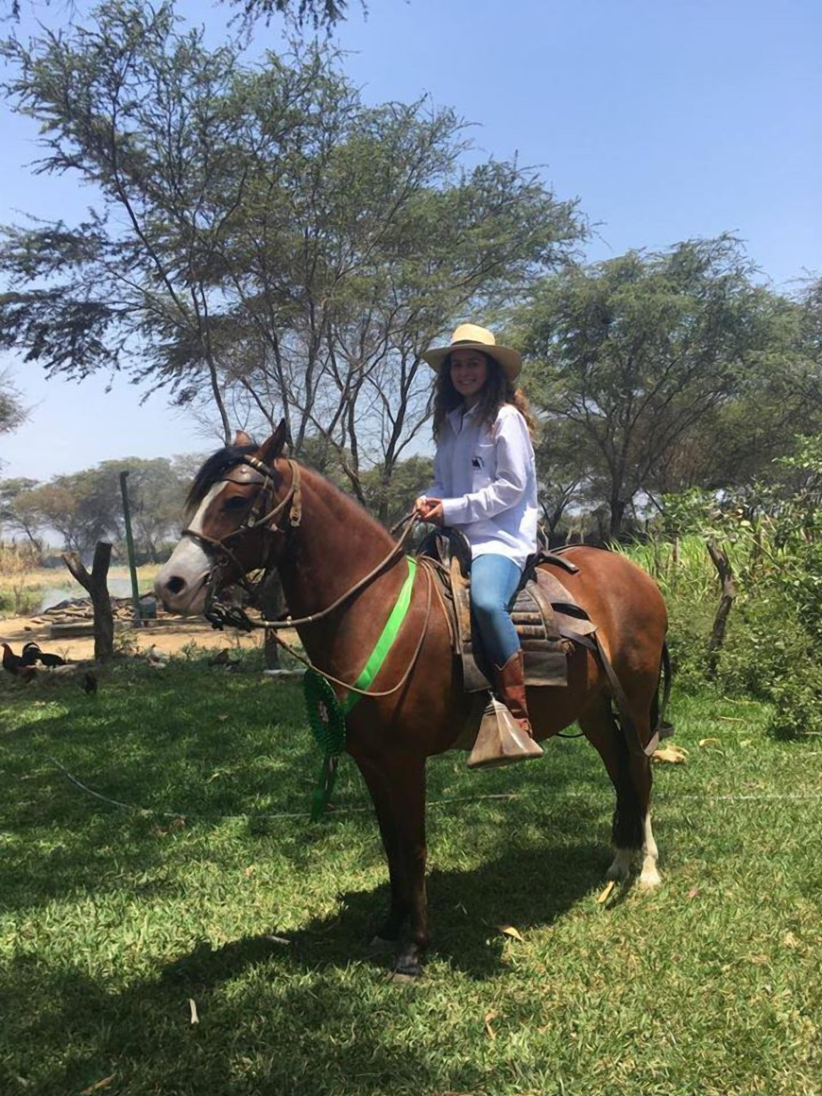 Uma pessoa a cavalo numa área gramada, com árvores ao fundo.