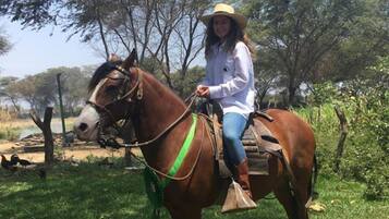 Uma pessoa a cavalo numa área gramada, com árvores ao fundo.