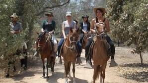 Un gruppo di persone cavalca lungo un sentiero sterrato, circondato da alberi.