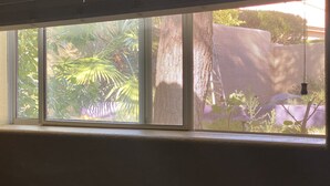A window with a view of a garden with various plants and a fence.