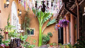 Une terrasse extérieure avec une table et des chaises en bois, entourée de plantes en pot et agrémentée d’un luminaire décoratif suspendu.