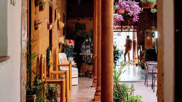 Un couloir intérieur doté d’un sol carrelé, de bancs en bois, de plantes suspendues et d’un plafond également carrelé.
