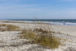 Sun-loungers, beach towels