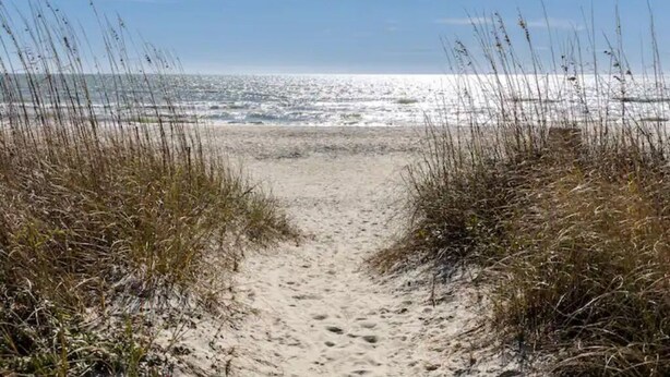Ein sandiger Küstenweg führt zum Meer, umrahmt von hohem Gras.