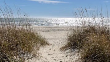 A sandy beach path leading to the ocean, surrounded by tall grasses.