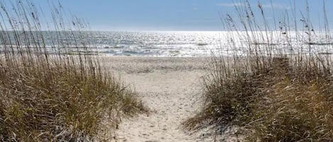 Sun-loungers, beach towels