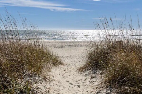 Camastros y toallas de playa 