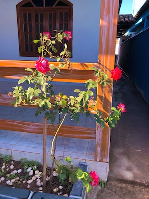 Family House, 3 Bedrooms, Courtyard View, Beachside | Terrace/patio
