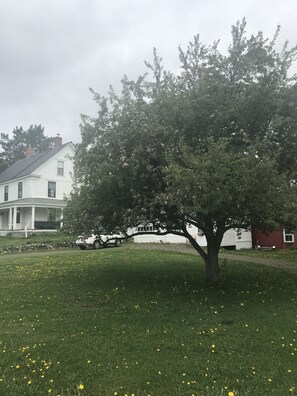 Vista frontal de la propiedad