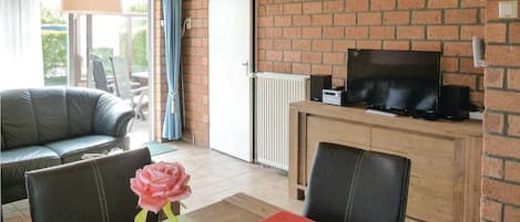 电视、DVD 播放器