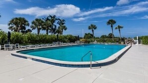 Une piscine rectangulaire dont le bord est recouvert de carreaux, entourée de chaises longues et de palmiers.