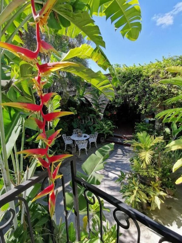 Outdoor dining - La Familia Hotel y Restaurante (San Blas)