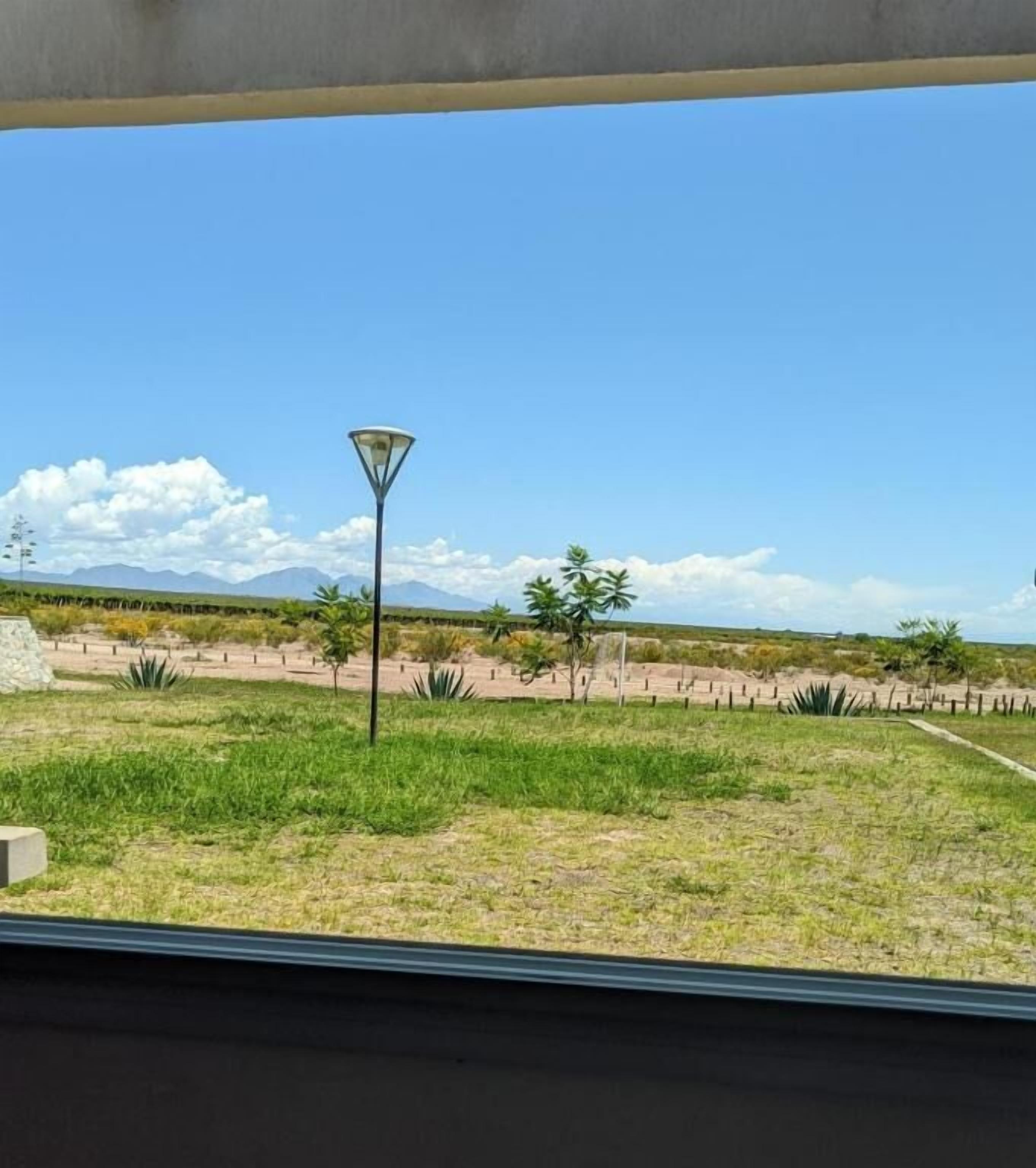 A view from inside a building, looking out to a landscaped area with a street lamp, palm trees, and distant mountains under a clear sky.