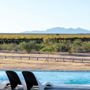 A pool area with lounge chairs, a desert landscape with mountains in the background, and a field of yellow flowers.