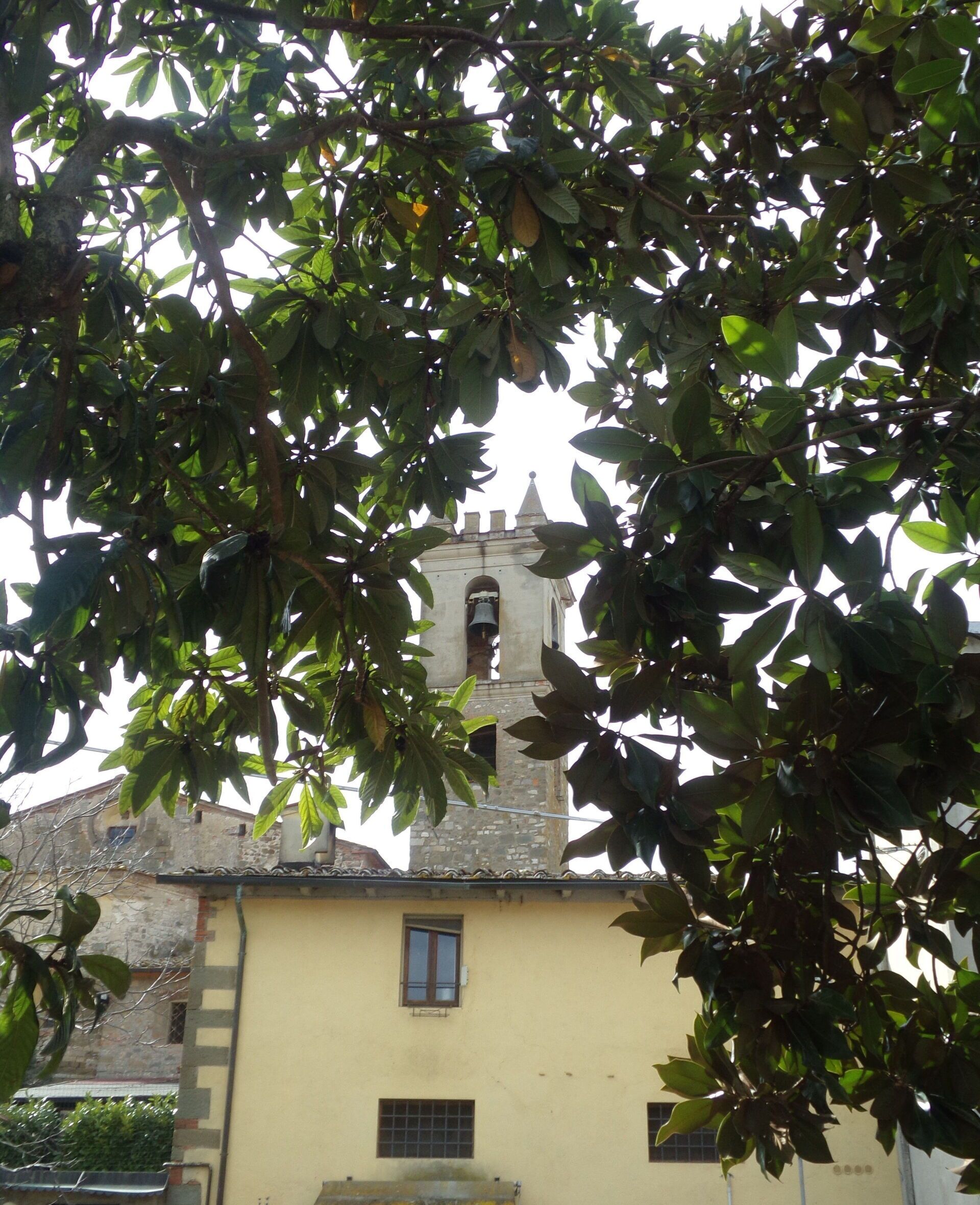 A building with a bell tower, surrounded by dense foliage.